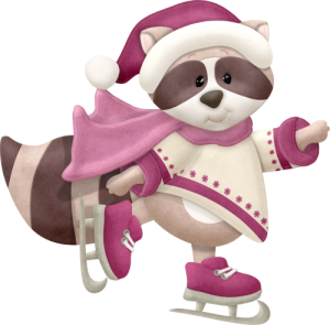 a cute ice skating raccoon